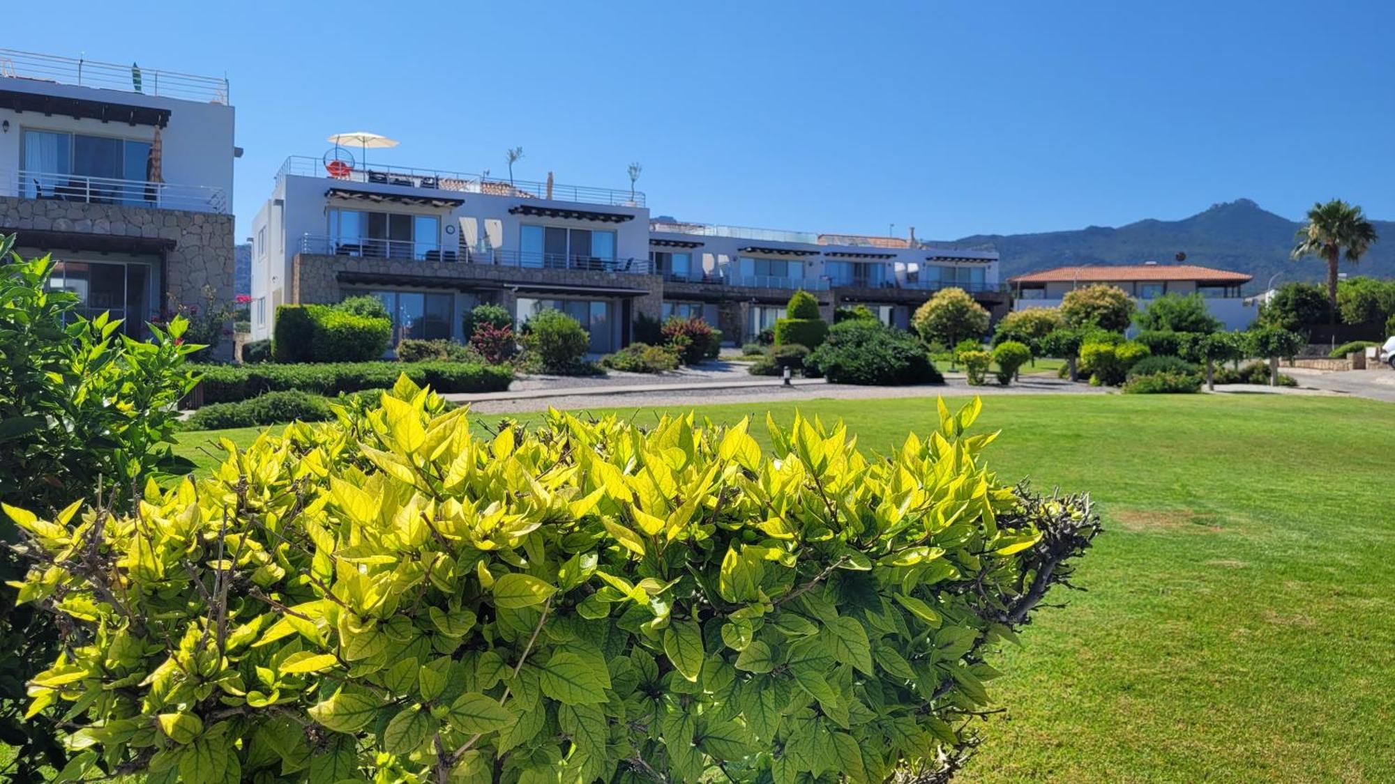 Sea And Mountain View Beachfront Penthouse Yali Kültér fotó